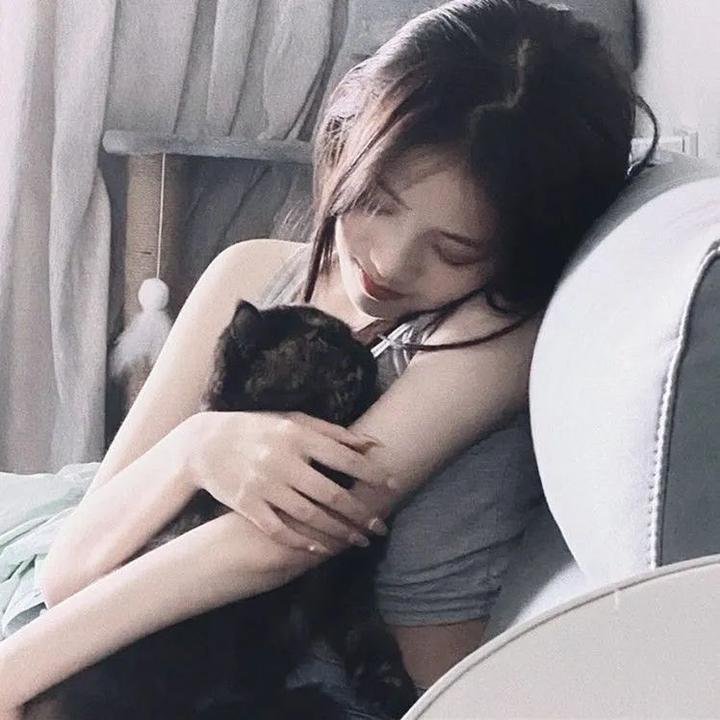 魔法师的猫